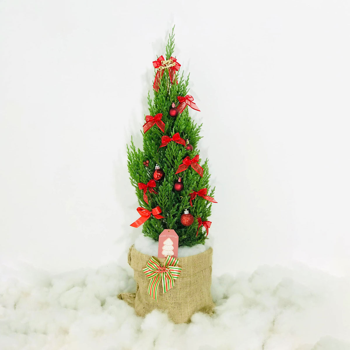 Cây thông noel mini để bàn trang trí giáng sinh PINA105