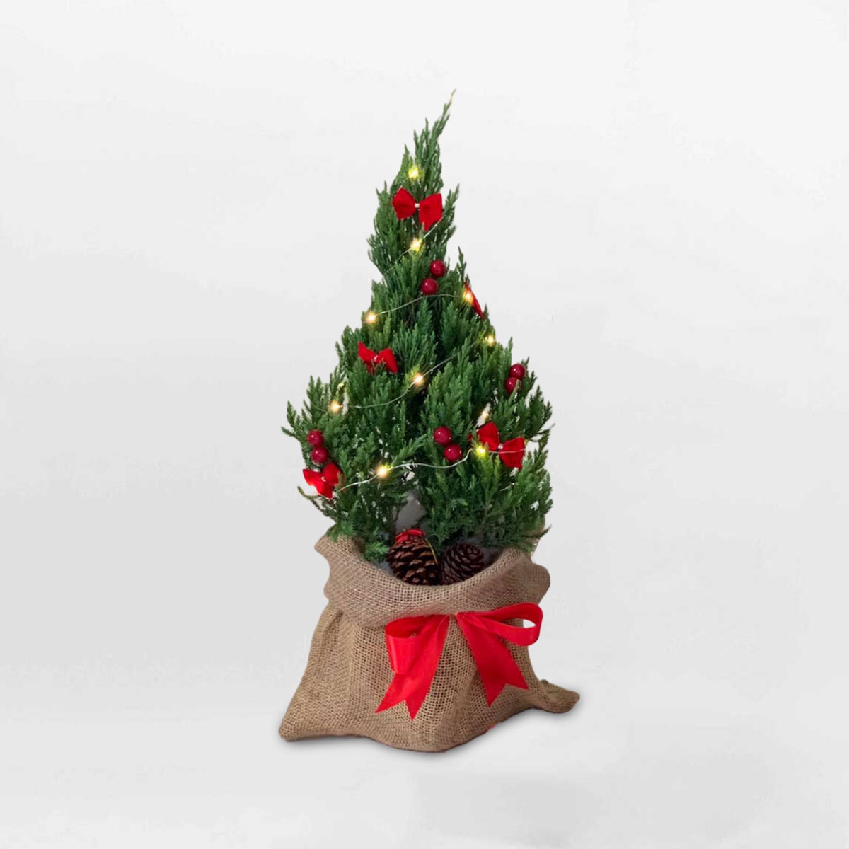 Cây thông noel mini để bàn trang trí giáng sinh PINA103