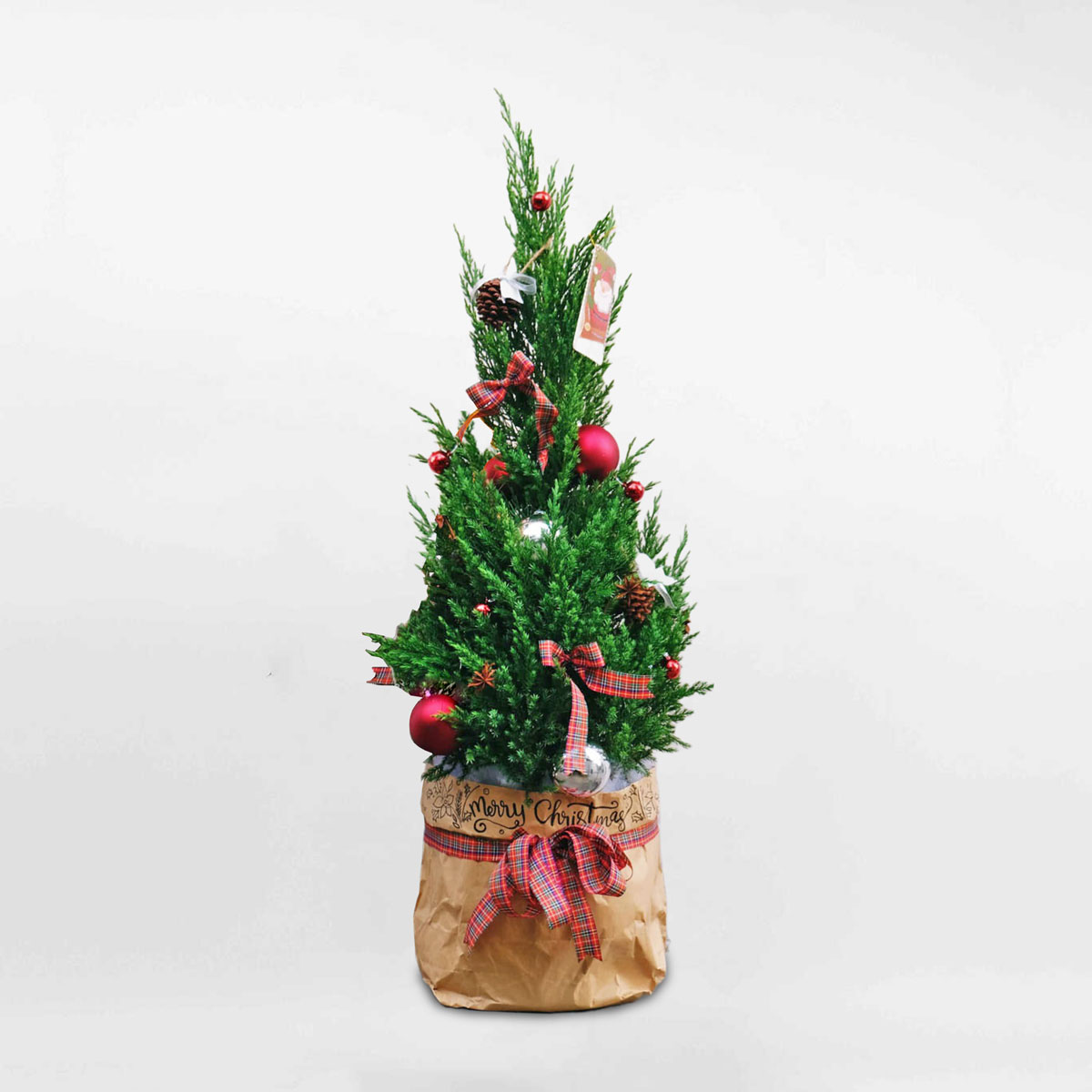 Cây thông noel mini để bàn trang trí giáng sinh PINA102