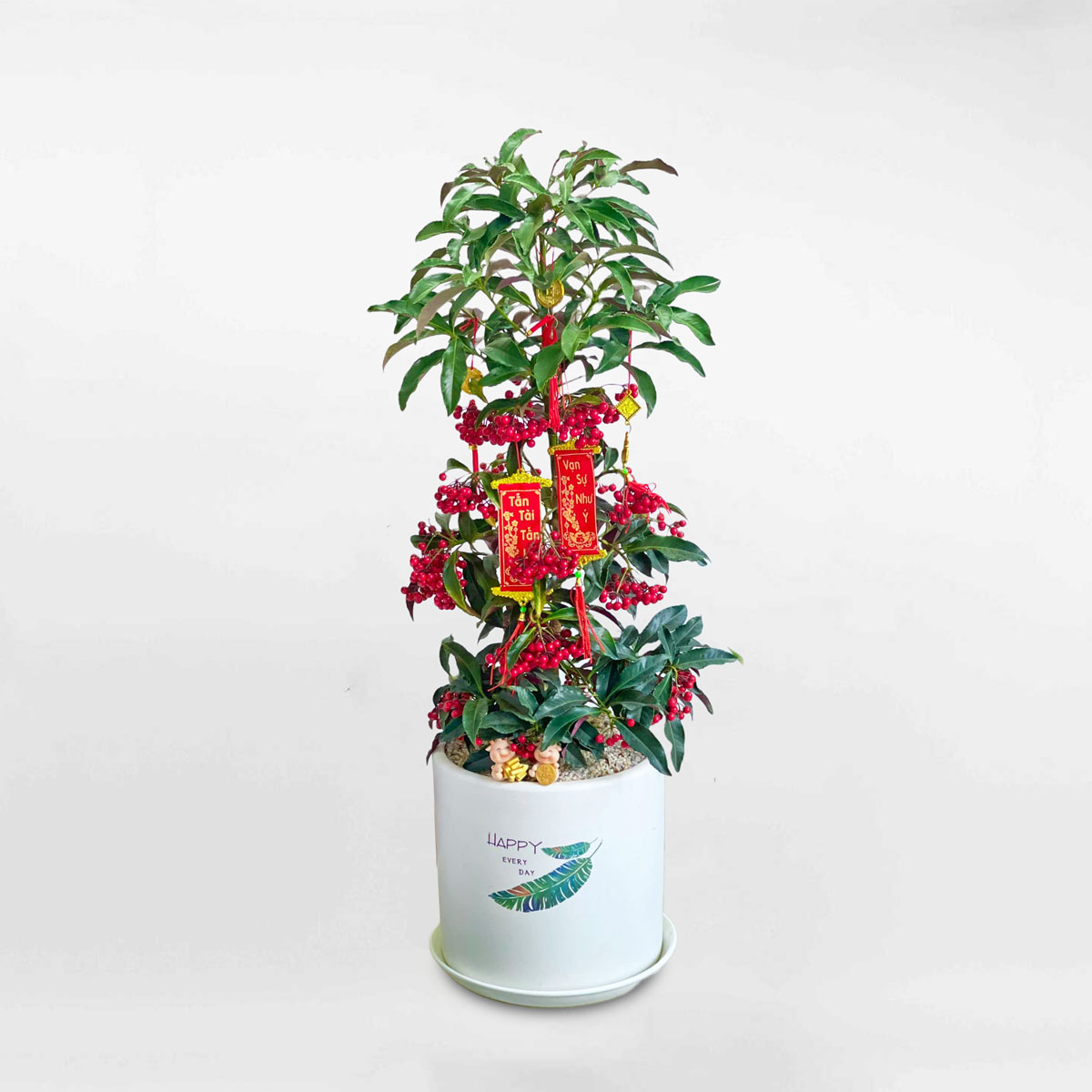 Cây kim ngân lượng chậu sứ trang trí tết CKNL005