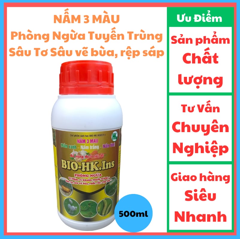 NẤM 3 Màu chai 500ML/Hoàng Kim insect/ Phòng Ngừa Tuyến Trùng Sâu Tơ, Sâu vẽ bùa, rệp sáp