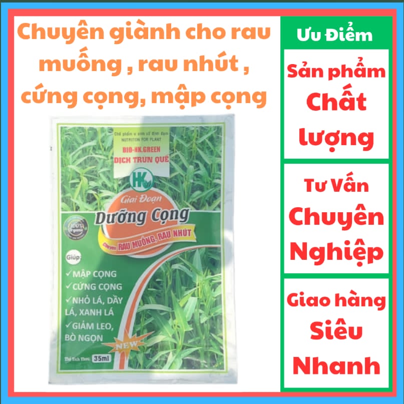 DỊCH TRÙN QUẾ - CHUYÊN KÍCH THÍCH TĂNG TRƯỞNG CHO RAU MUỐNG
