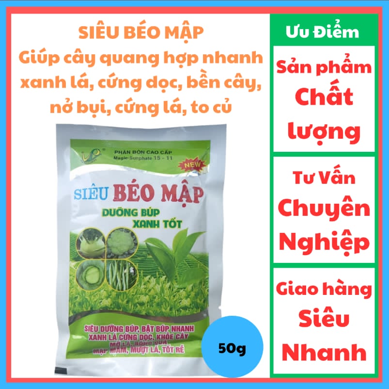 SIÊU BÉO MẬP Giúp cây quang hợp nhanh, xanh lá, cứng dọc, bền cây, nở bụi, cứng lá, to củ, đặc biệt dùng cho cây chè