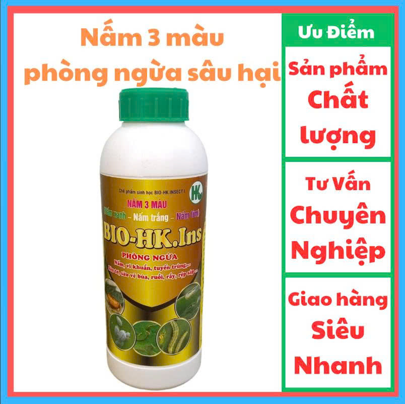 NẤM 3 MÀU chai 1L/Hoàng Kim insect/ Phòng Ngừa Tuyến Trùng Sâu Tơ, Sâu vẽ bùa, rệp sáp