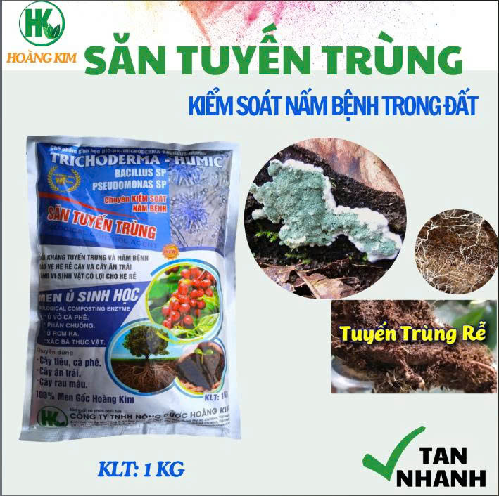 SĂN TUYẾN TRÙNG-MEN VI SINH TRICHODERMA CHUYÊN KIỂM SOÁT NẤM BỆNH, TUYẾN TRÙNG TRONG ĐẤT