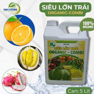 SIÊU LỚN TRÁI, NUÔI TRÁI NẶNG KÝ, KÍCH TRÁI LỚN NHANH, NẶNG KÝ, MÀU ĐẸP