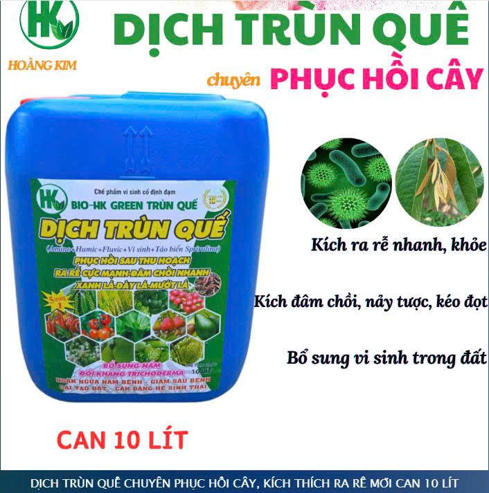 DỊCH TRÙN QUẾ CHUYÊN PHỤC HỒI CÂY, KÍCH THÍCH RA RỄ MỚI CAN 10 LÍT