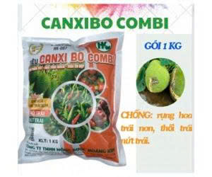 CANXIBO COMBI HOÀNG KIM/ THỤ PHẤN TỐT, CHỐNG RỤNG TRÁI NON, NGĂN NỨT TRÁI, THỐI TRÁI