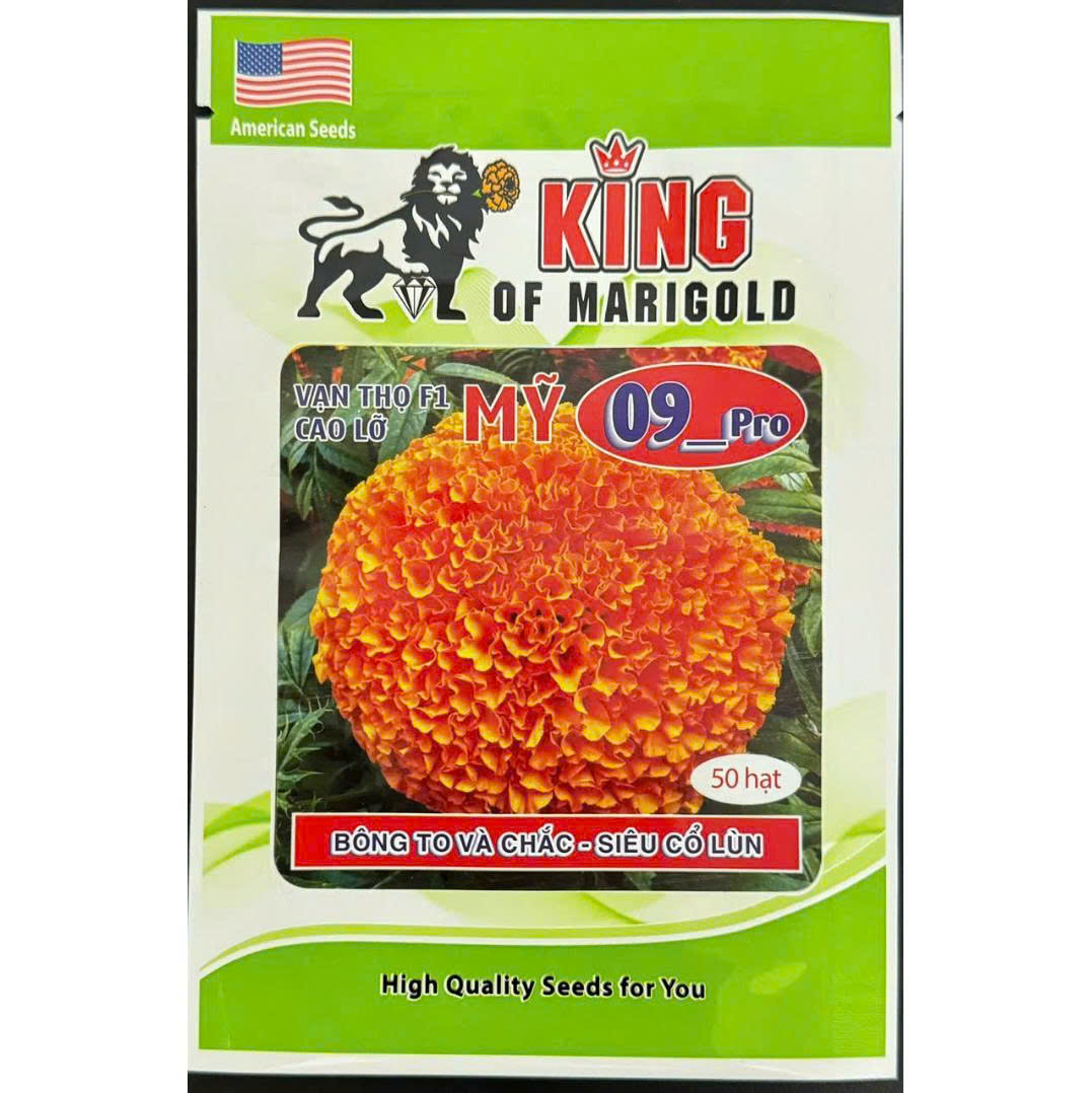 Hạt Giống Hoa Vạn Thọ Mỹ 09-Pro F1 Cao Lỡ