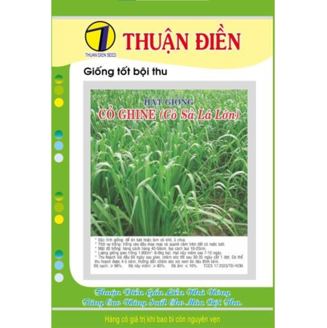 HẠT GIỐNG CỎ GHINE (CỎ SẢ LÁ LỚN) THUẬN ĐIỀN
