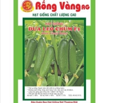 Dưa leo chùm ( gói 5 hạt )