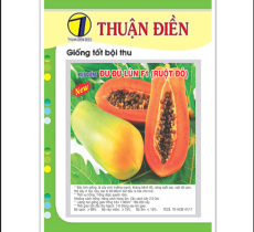 Hạt Giống Đu Đủ Lai F1 Ruột Đỏ