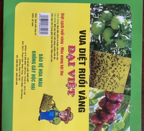 Keo Bẫy Ruồi Vàng