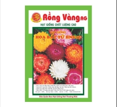 Hoa Bất Tử nhiều màu ( MS 17 )