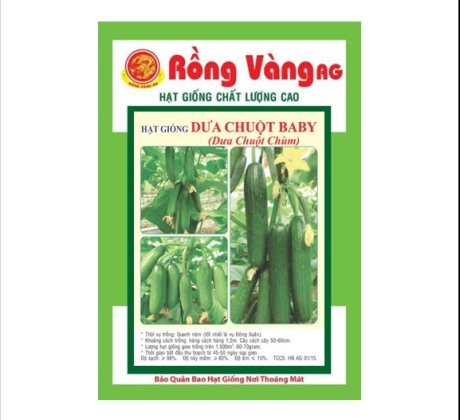 Dưa Chuột baby ( Dưa leo chùm )