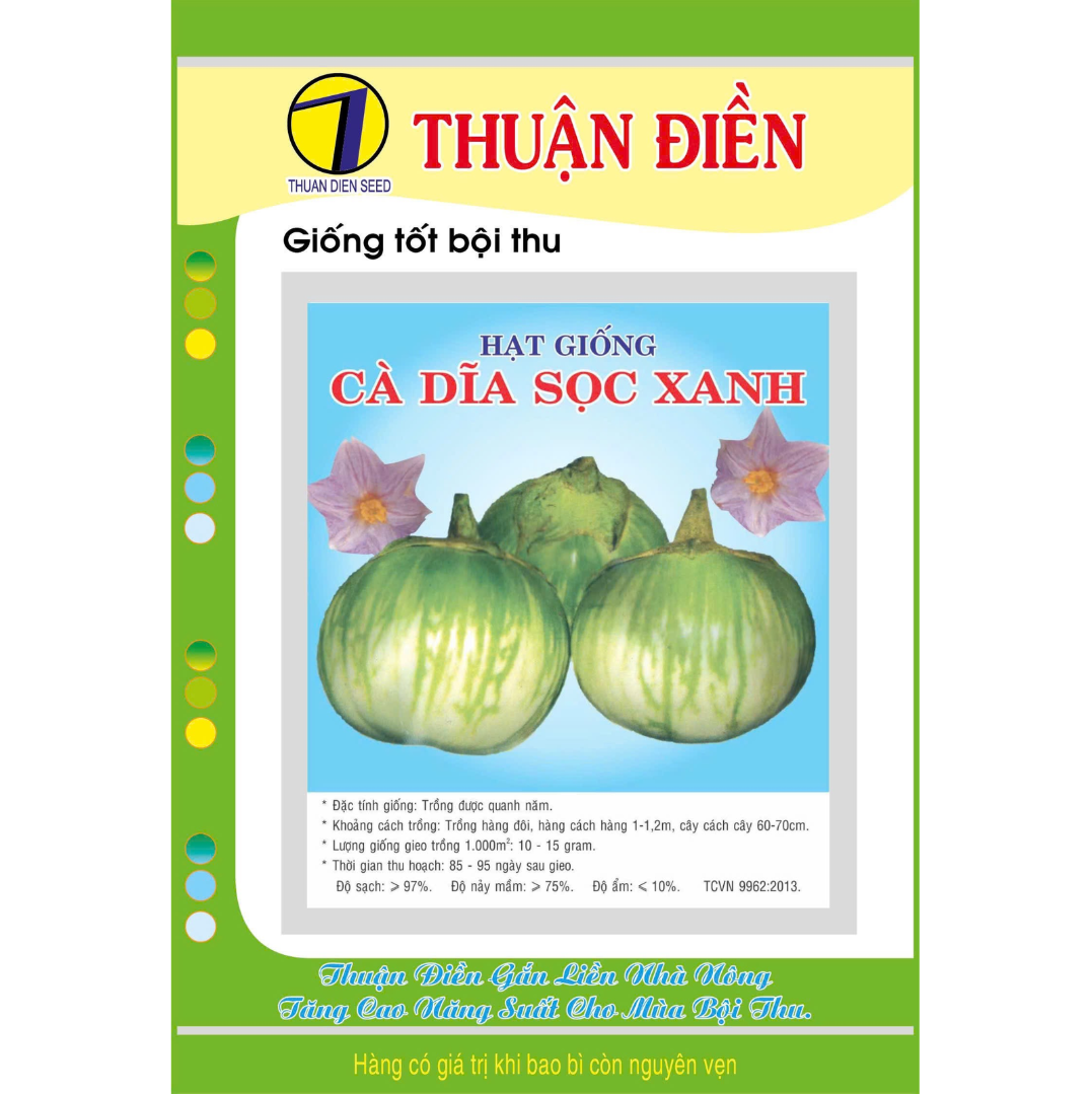 HẠT GIỐNG CÀ DĨA SỌC XANH (CÀ DA ẾCH) THUẦN ĐIỀN