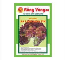 XÀ LÁCH XOĂN TÍM RỒNG VÀNG