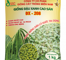 Hạt Giống Đậu xanh CX-208