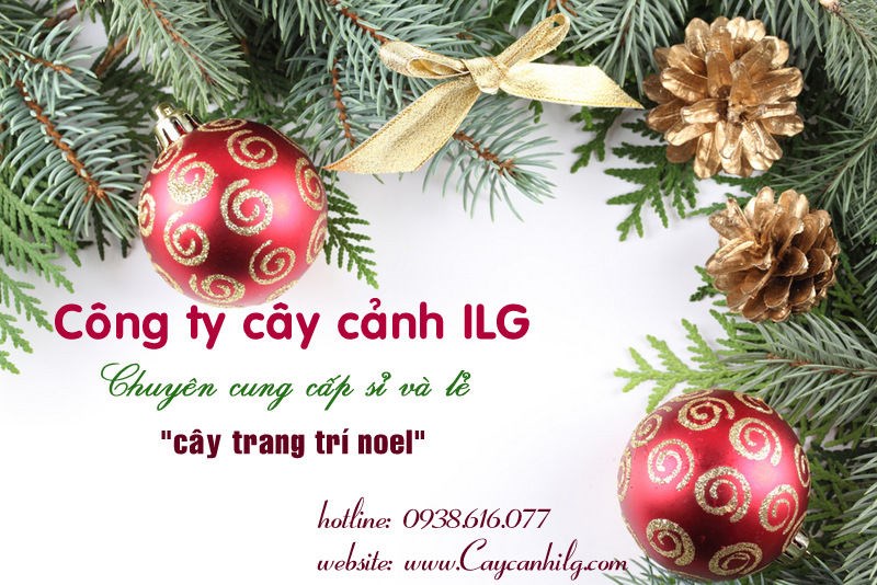 Cây trang trí noel
