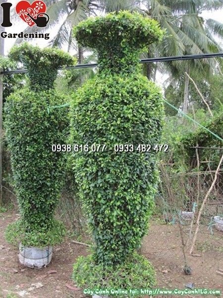 Kiểng Thú – Kiểng Tạo Hình