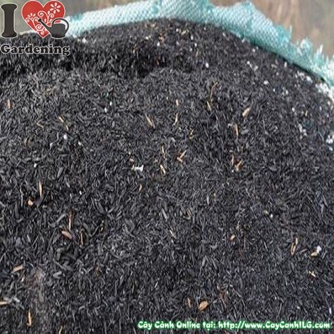 Cung Cấp Tro Trấu Trồng Cây