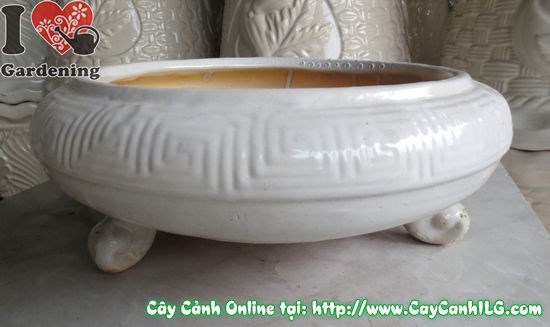 Chậu Bonsai Men Trắng Tròn (Cao 12cm – Ms: 04547)