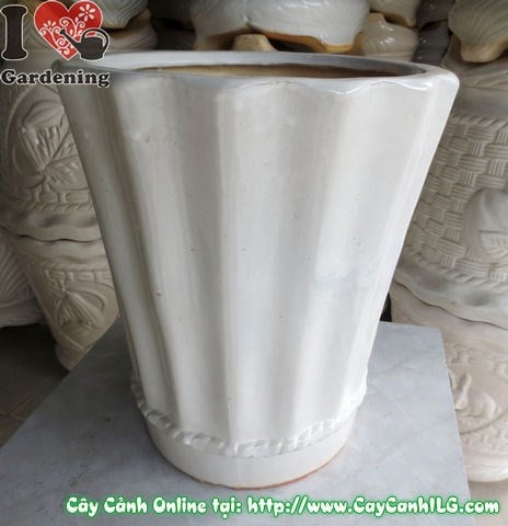 Chậu Khế Men Trắng Tròn (Cao: 39cm – Ms: 04555)