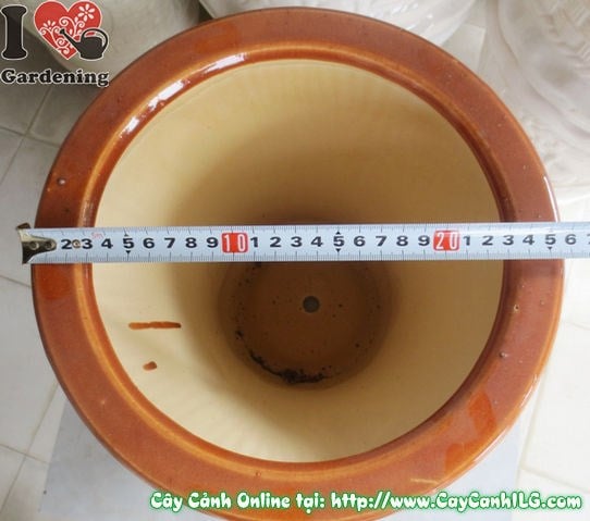 Chậu Trúc Men Nâu Tròn Thắt Đáy (Cao: 34cm – Ms: 04837)