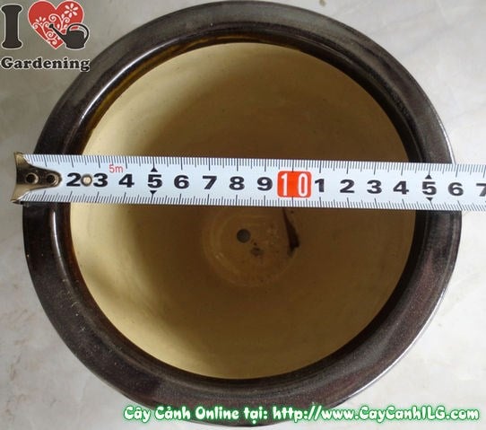 Chậu Men Đen Tròn Nhẵn (Cao: 16cm – Ms: 04897)