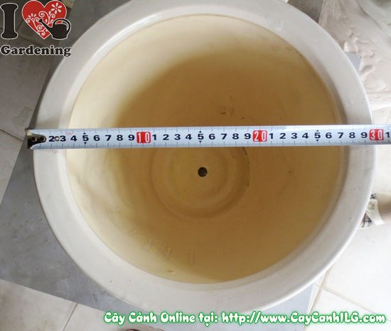 Chậu Men Trắng Tròn Thấp Mẫu 2 (Cao: 22cm – Ms: 04921)