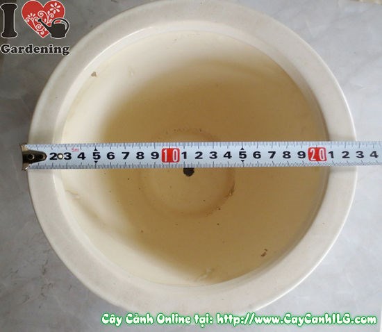 Chậu Men Trắng Tròn Thấp Mẫu 3 (Cao: 16cm – Ms: 04927)