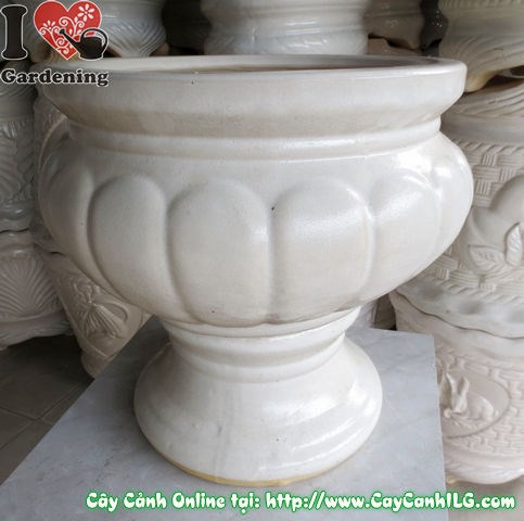 Chậu Ly Men Trắng Tròn Mẫu 5 (Cao: 45cm – Ms: 04944)