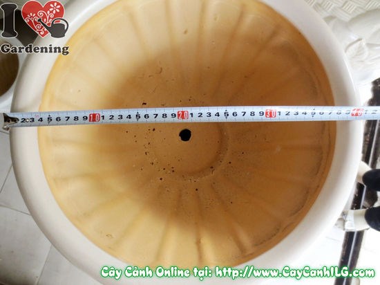 Chậu Ly Men Trắng Tròn Mẫu 6 (Cao: 44cm – Ms: 04947)