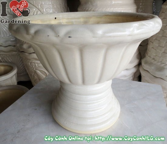 Chậu Ly Men Trắng Tròn Mẫu 6 (Cao: 29cm – Ms: 04950)