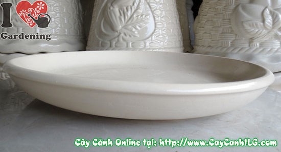 Dĩa Lót Men Trắng Tròn (Rộng: 38cm – Ms: 05037)