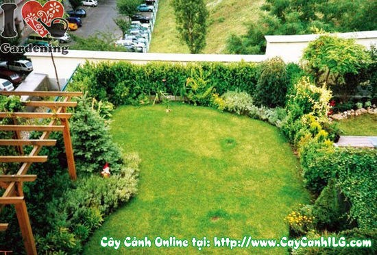 Dịch Vụ Cắt Cỏ, Cắt Tỉa Cây Cảnh