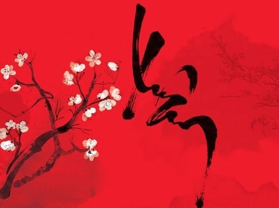 Cung Cấp Dịch Vụ Cho Thuê Cây Cảnh Tết