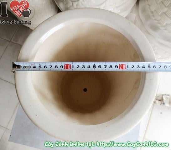 Chậu Trúc Men Trắng Tròn Thắt Đáy Mẫu 1 (Cao: 34cm – Ms: 04847)