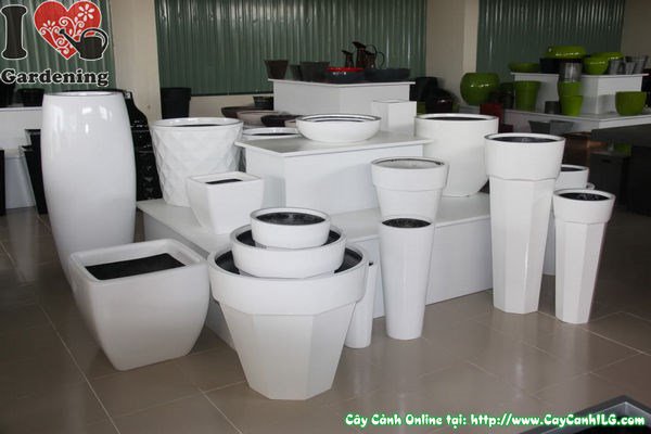 Cung Cấp Chậu Cây Cảnh