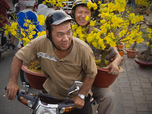 Chợ Hoa Tết Sài Gòn Xưa Và Nay