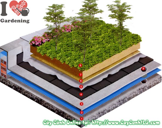 Trồng Cây Trên Mái, Vườn Trên Mái, Mái Xanh