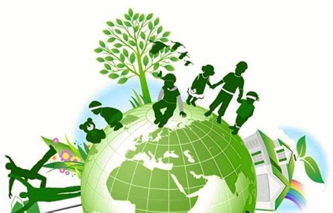 Cung Cấp Cây Cảnh Các Loại
