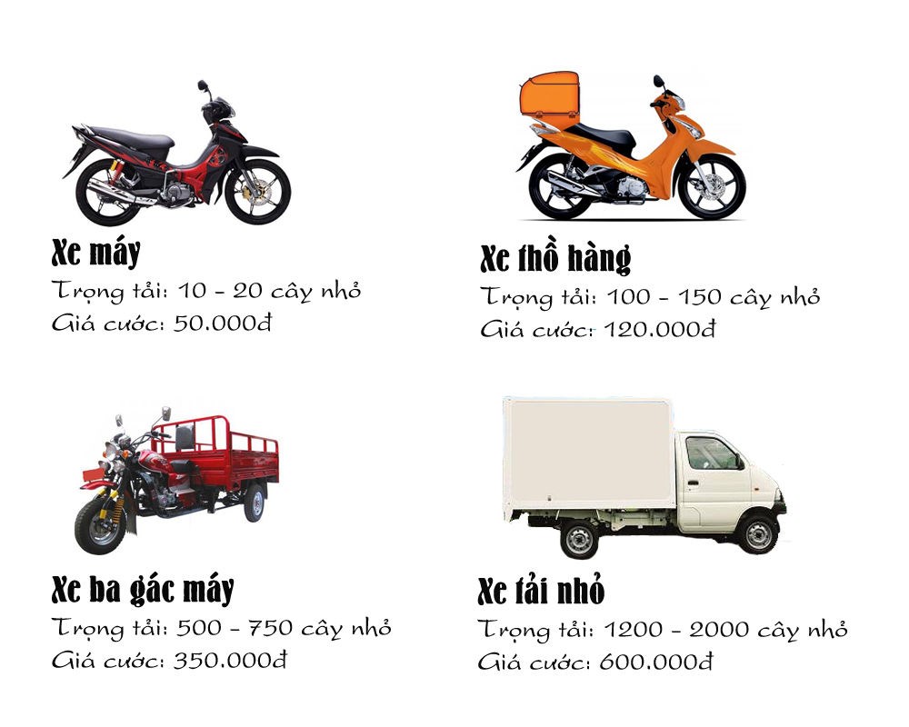 Chương Trình Khuyến Mãi: MỪNG LỄ QUỐC KHÁNH