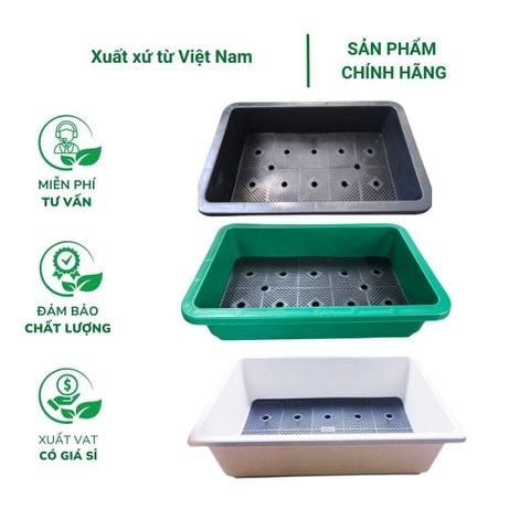 Chậu trồng rau hình chữ nhật 65x42x16cm - Nhựa PP bền màu, thoát nước tốt