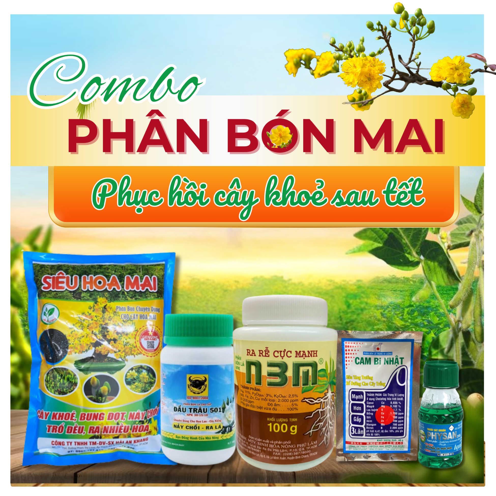 Combo phục hồi cây mai sau Tết – Dưỡng rễ, bung chồi, tăng cành lá mạnh