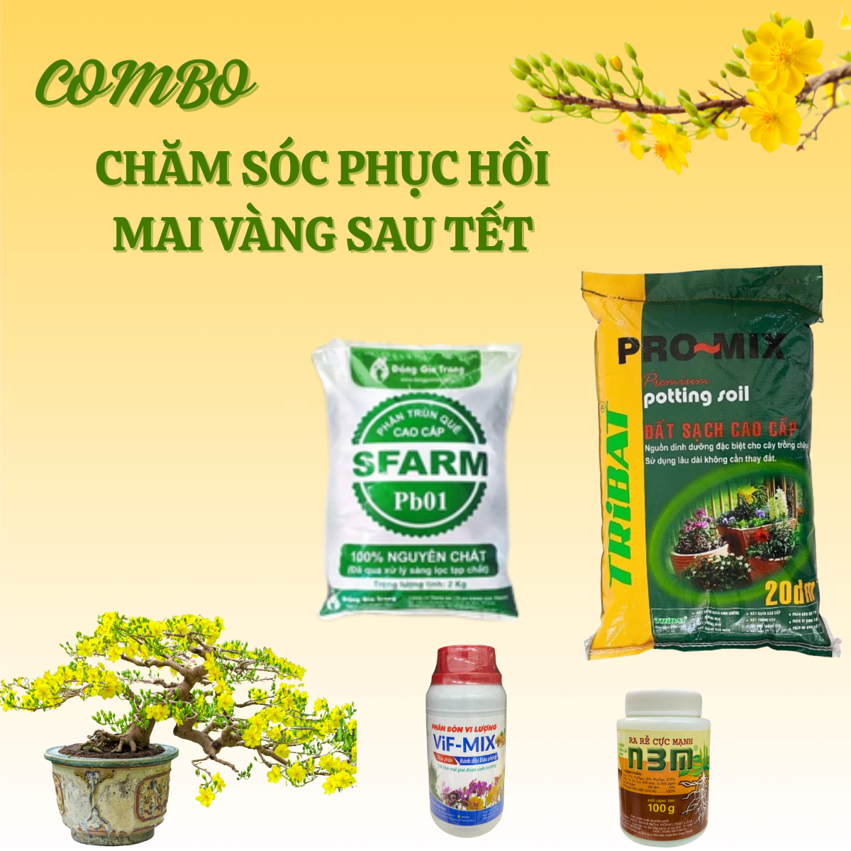 Combo chăm sóc và phục hồi mai sau Tết (Basic) - Tại CH TP. HCM