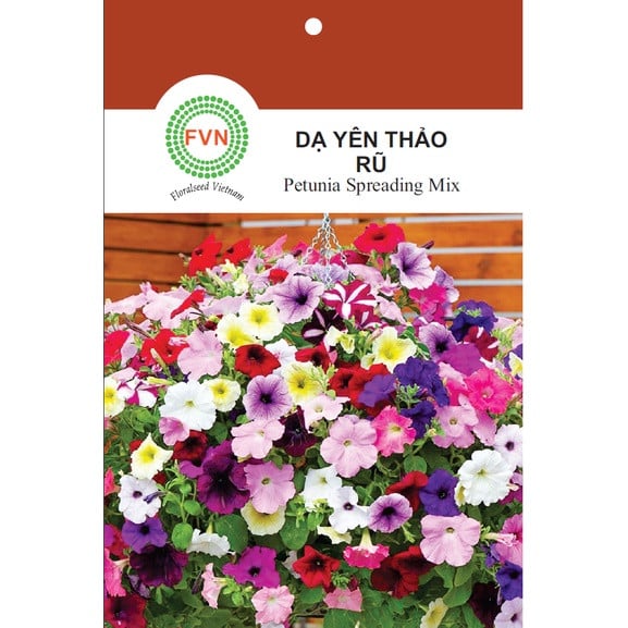 Hạt giống Hoa Dạ Yên Thảo Rũ nhiều màu FVN - Gói 5 hạt