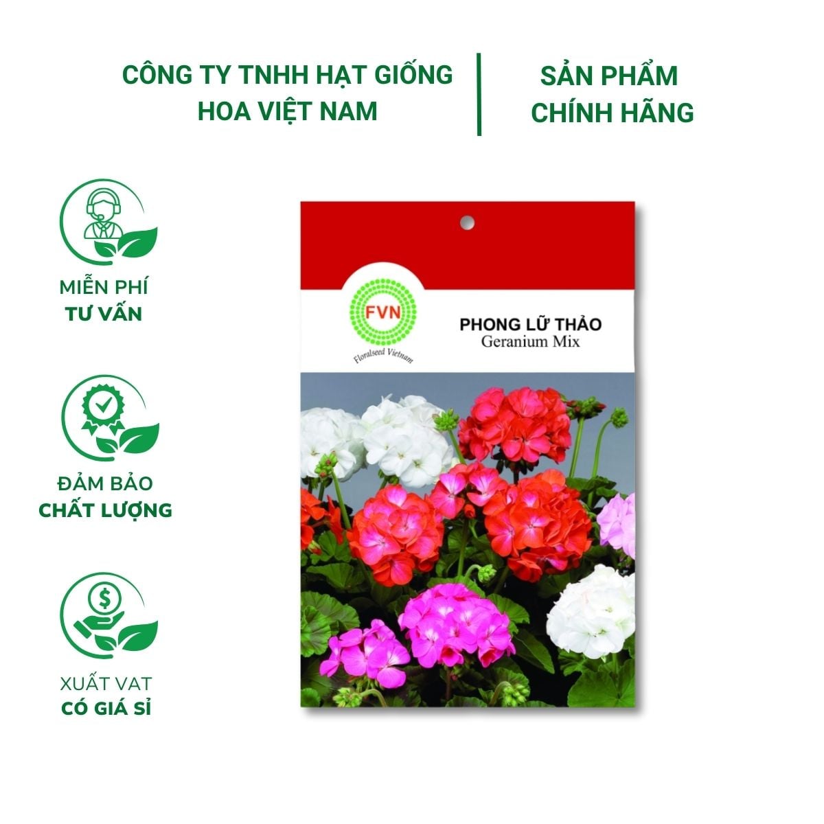 Hạt giống Hoa phong lữ thảo đứng nhiều màu FVN - Gói 15 hạt