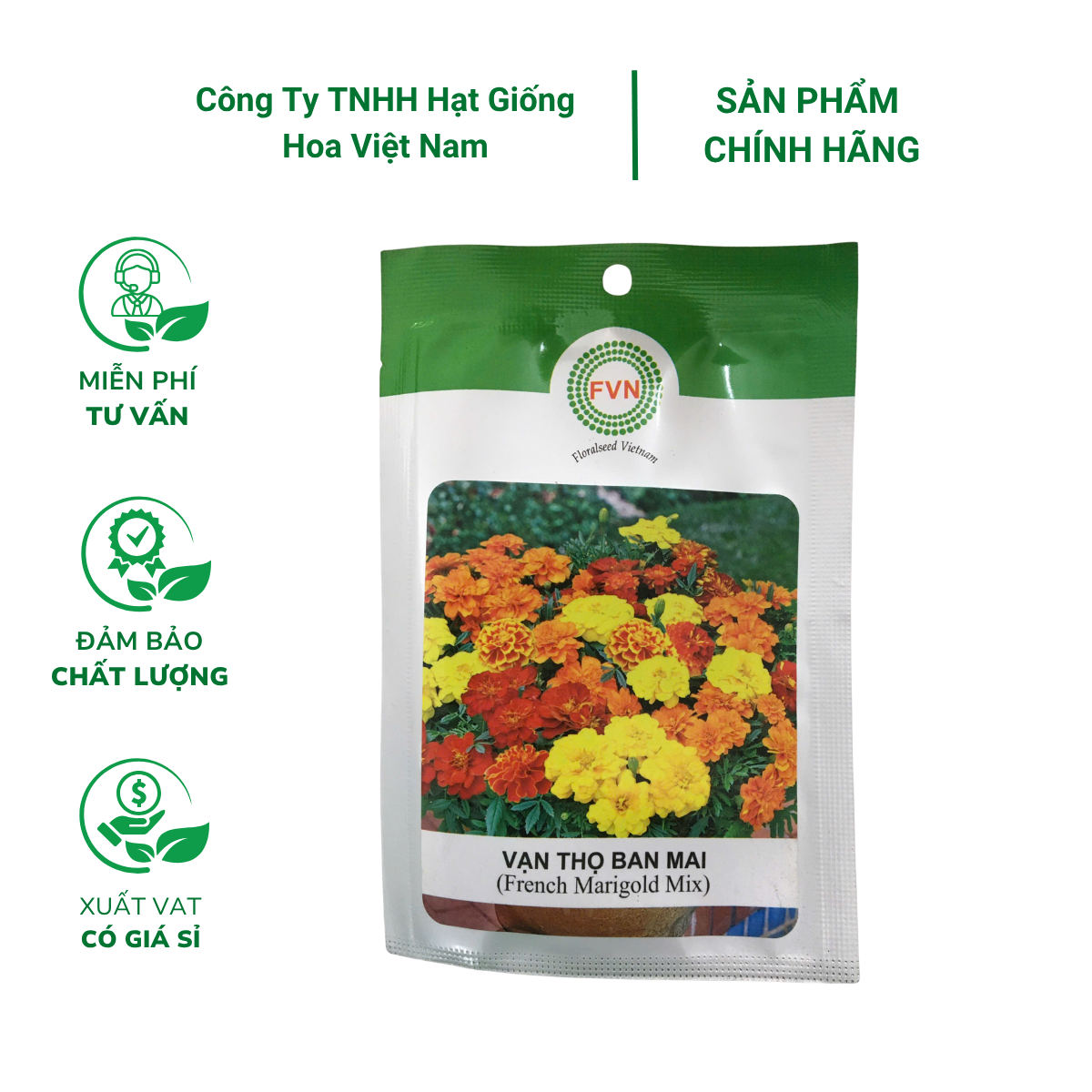 Hạt giống Hoa vạn thọ Pháp (Vạn thọ ban mai) FVN - Gói 20 hạt