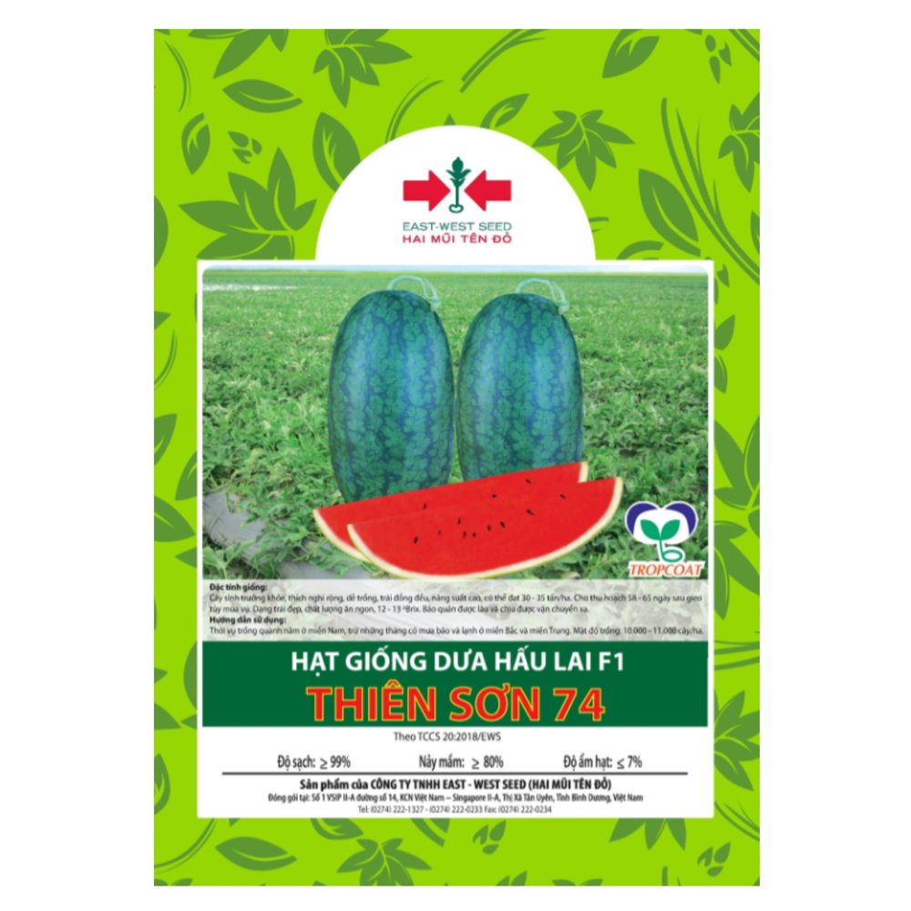 Hạt giống Dưa hấu ruột đỏ lai F1 Thiên Sơn 74 East-West Seed (Hai Mũi Tên Đỏ)
